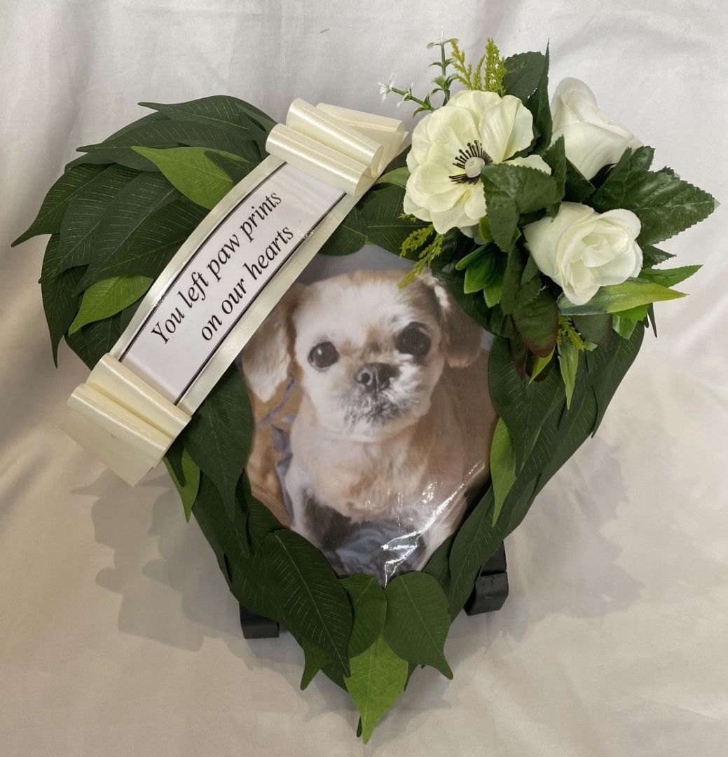 Pet Memorial 2