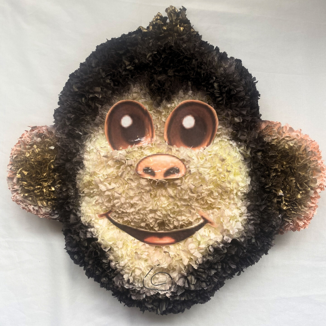 Monkey Chimp 2